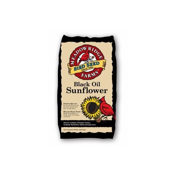 Jrk Seed 20LB BLK SunFLWR Food B200020 - main